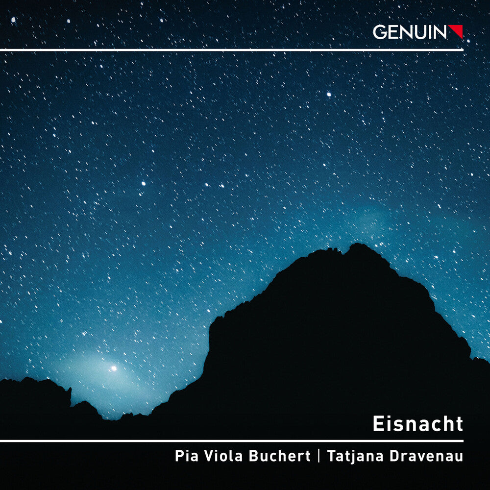 the album cover for Pia Buchert Viola - Eisnacht