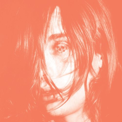 Deerhunter - Microcastle [LP]