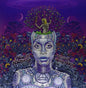 Erykah Badu - New Amerykah Part Two: Return of the Ankh [LP]