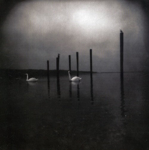 Om - Conference of the Birds [LP]