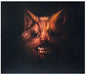 Swans - The Seer [2 CD]