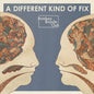 Bombay Bicycle Club - Different Kind of Fix [LP]