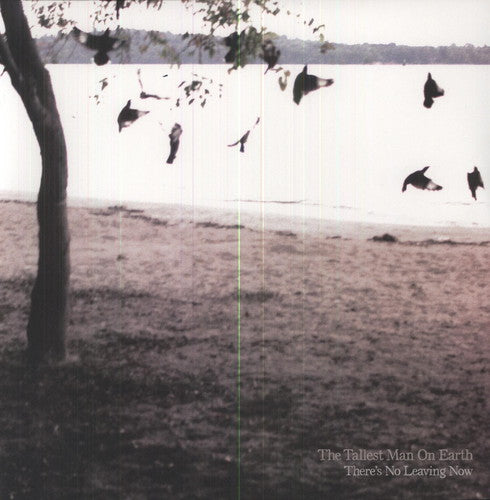 The Tallest Man On Earth - There's No Leaving Now [LP]