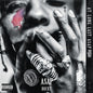 A$AP Rocky - At.long.last.a$ap [CD]