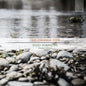 the album cover for Fornione, Enzo - Orange Side