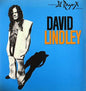 the album cover for David Lindley - Rayo-X [180 Gram]