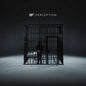NF - Perception [CD]