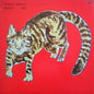 Yasuaki Shimizu - Kakashi [LP]