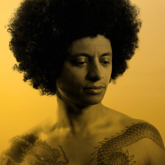 Jose James - No Beginning No End 2 [CD]