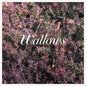 Wallows - Spring EP [Pink & Green Vinyl]