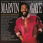 Marvin Gaye - Every Great Motown Hit Of Marvin Gaye: 15 Spectacular Performances [LP]