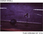 Diana Krall - This Dream Of You [CD]