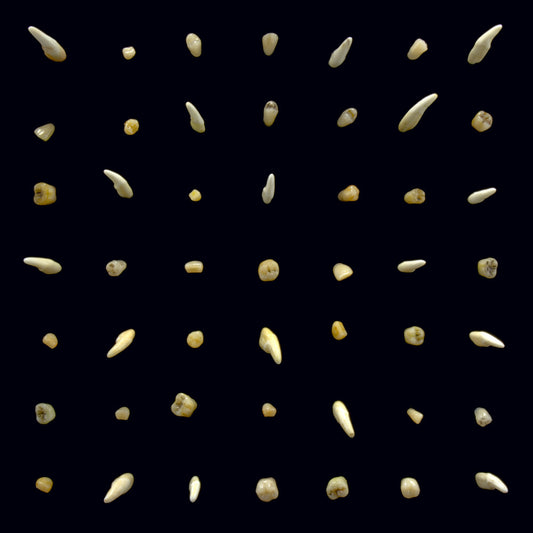 clipping. - Visions of Bodies Being Burned [2LP]