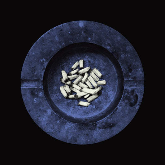 Laura Jane Grace - Stay Alive [Lapis Lazuli Blue LP]