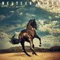 Bruce Springsteen - Western Stars [CD]