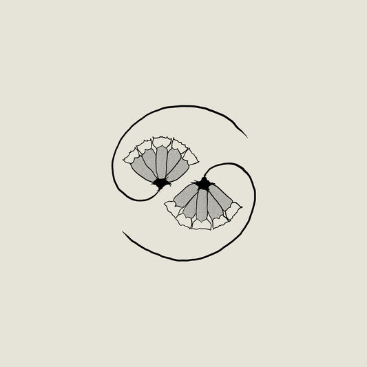 Godspeed You! Black Emperor - G_D's Pee At State's End! [180 gram LP + 10in]