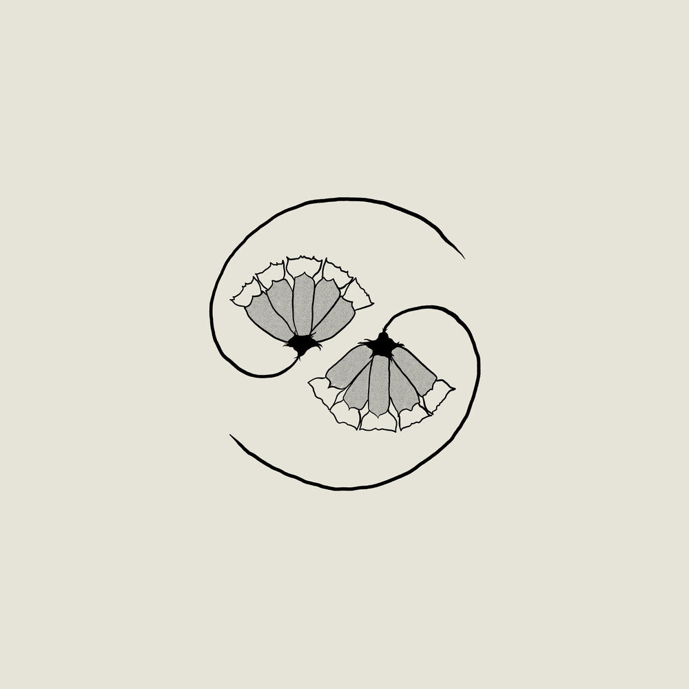 Godspeed You! Black Emperor - G_D's Pee At State's End! [CD]