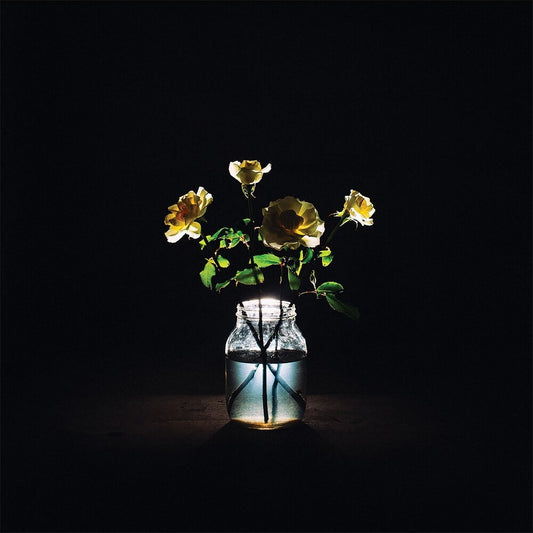 Billy Strings - Renewal [2LP]