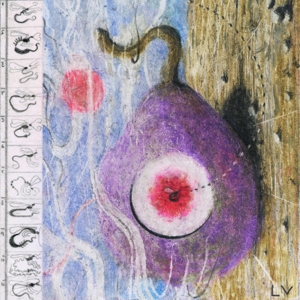 Lunar Vacation - Inside Every Fig is a Dead Wasp [CD]