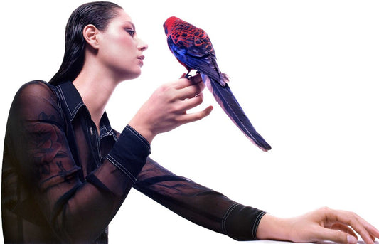 Grace Cummings - Storm Queen [Opaque White LP]