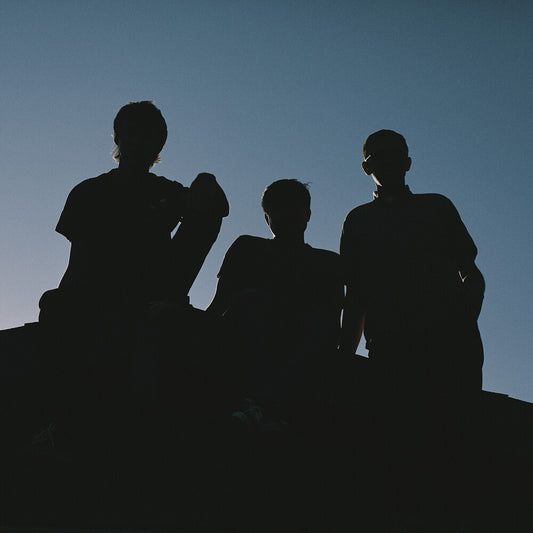 Joyce Manor - 40 Oz. To Fresno [LP]