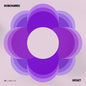 Robohands - Violet [Indie Exclusive] Clear [Colored Vinyl] [Clear Vinyl] [Limited Edition] [Indie Exclusive]
