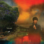 Sharon Van Etten - We've Been Going About This All Wrong: Deluxe Edition [Custard 2LP]