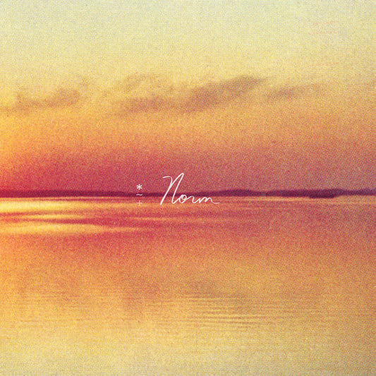 Andy Shauf - Norm [CD]