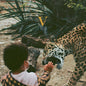 Unknown Mortal Orchestra - V [2LP]