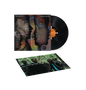 the album cover for Irreversible Entanglements - Future Present Past [LP + Poster]