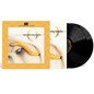 the album cover for A Perfect Circle - Thirteenth Step [Definitive Sound Series 180g]