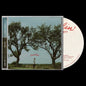 the album cover for Dylan Gossett - Ramblin'