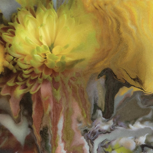 Parker Millsap - Wilderness Within You [Indie Exclusive Limited Edition Autographed Maroon LP]