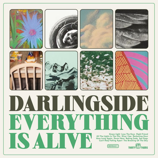 Darlingside - Everything Is Alive [LP]