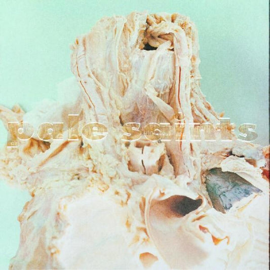 Pale Saints - In Ribbons [Digipak]