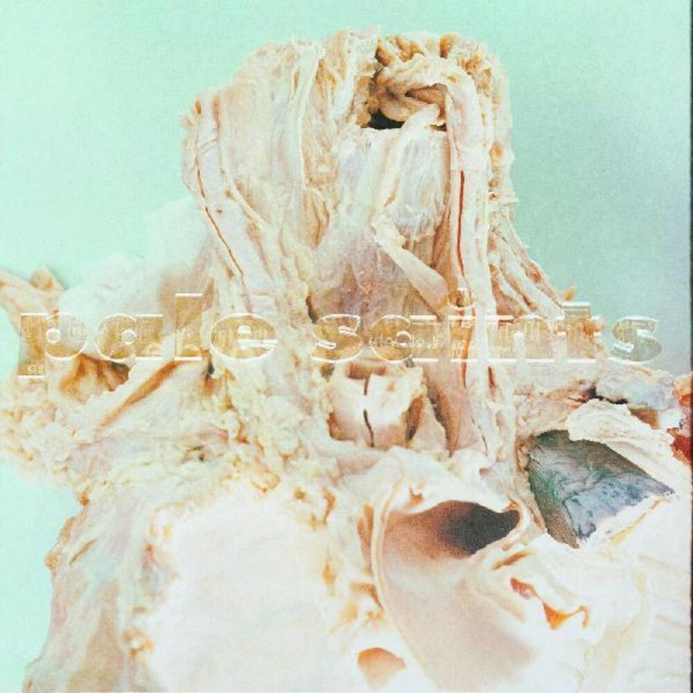 Pale Saints - In Ribbons [LP]