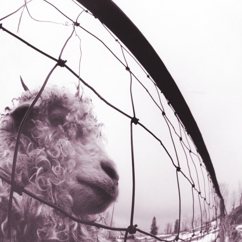 Pearl Jam - Vs. 30th Anniversary Edition [2LP]