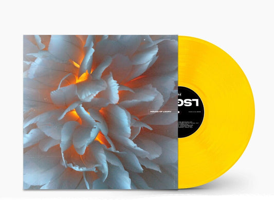 House Of Lsgrv: 2024 Loosegroove Records / Various - House Of Lsgrv: 2024 Loosegroove Records / Various  [LP]