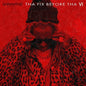 Lil Wayne - Tha Fix Before Tha Vi [Limited Edition] [Indie Exclusive]