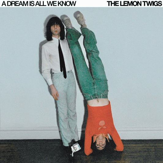 Lemon Twigs - Dream Is All We Know [LP]