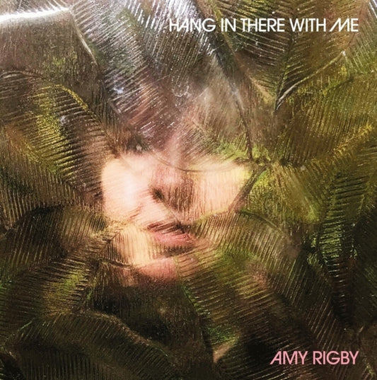 Amy Rigby - Hang In There With Me [CD]