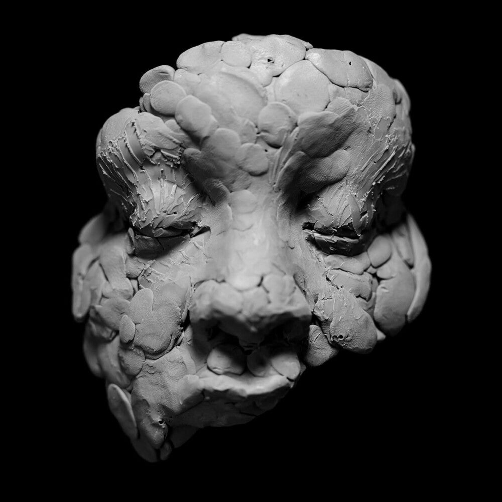 Joy Oladokun - OBSERVATIONS FROM A CROWDED ROOM [LP]