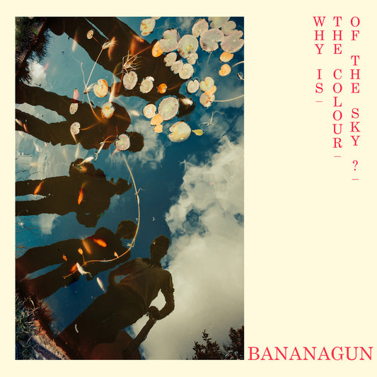 Bananagun - Why Is The Colour Of The Sky [LP]