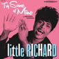 Little Richard - Try Some Of Mine: The Brunswick Recordings (Rsd) [LP]