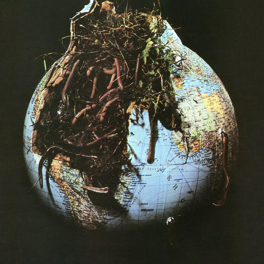 Drosselbart - Drosselbart [LP]