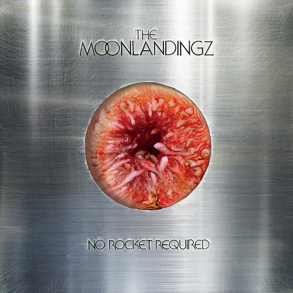 Moonlandingz - No Rocket Required [CD]