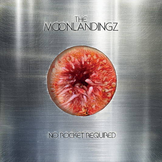 Moonlandingz - No Rocket Required [CD]