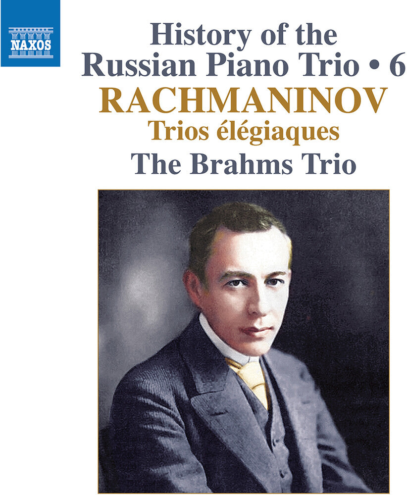 Brahms Trio - History Of The Russian Pno Trio Vol. 6 / Trios [CD]