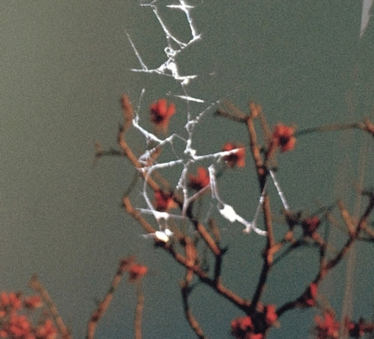 Dale, Jon - Last Blues [CD]