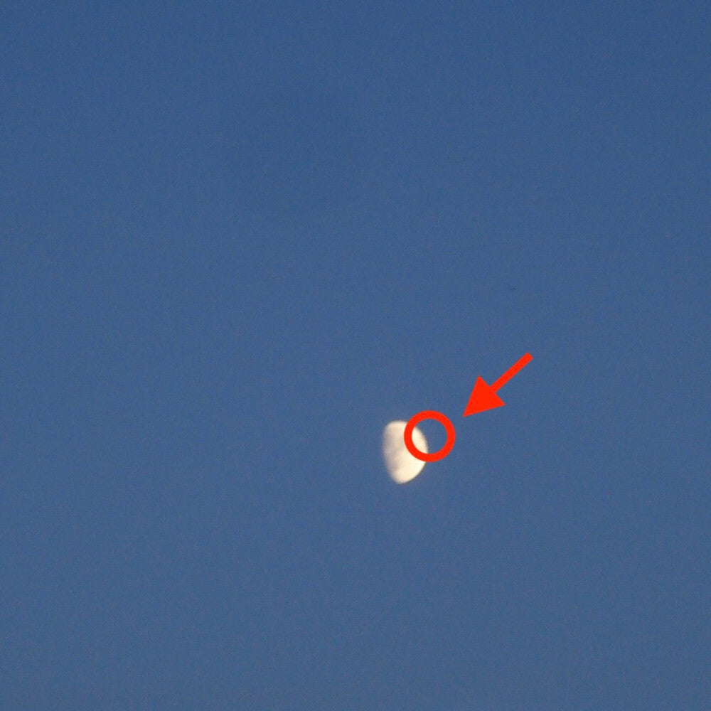 cleopatrick - FAKE MOON [Compact Disc]